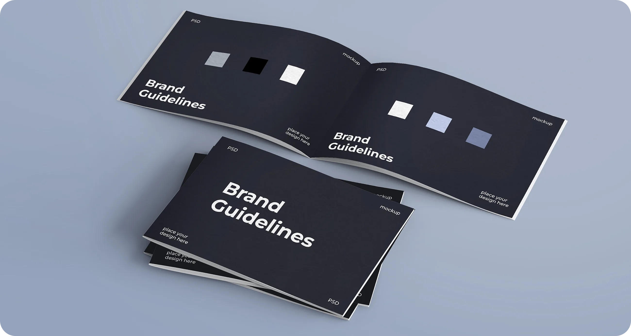 Brand Book & Guidelines